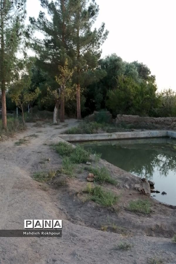 آستان مقدس و گردشگری امامزاده شمس الدین فسون