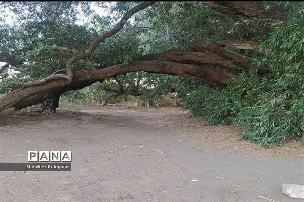 آستان مقدس و گردشگری امامزاده شمس الدین فسون