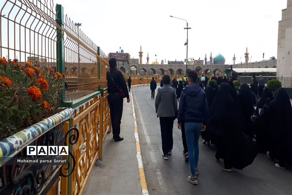 زائران حرم رضوی در اربعین حسینی