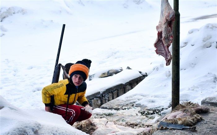 «وادیار» به جشنواره مورد تایید آکادمی اسکار و بفتا راه یافت