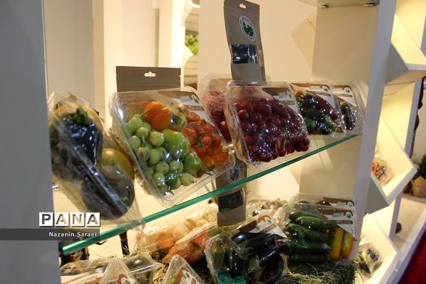 برگزاری سه نمایشگاه در محل دائمی نمایشگاه‌های بین‌المللی تهران