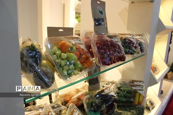 برگزاری سه نمایشگاه در محل دائمی نمایشگاه‌های بین‌المللی تهران