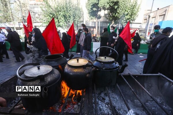 مراسم پیاده روی جاماندگان اربعین حسینی