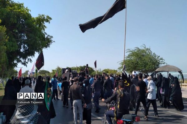 پیاده‌روی جاماندگان اربعین حسینی در بوشهر