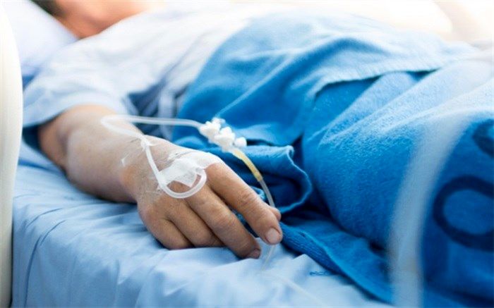 درباره زندگی نباتی چه می‌دانید؟