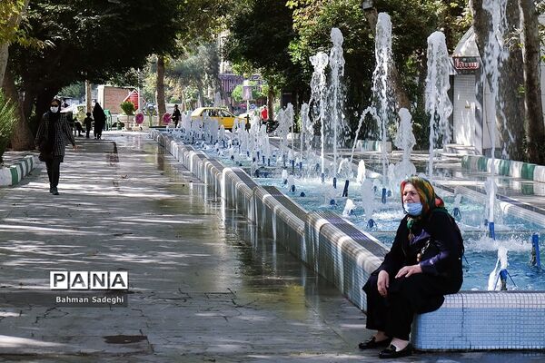 روز جهانی سالمند