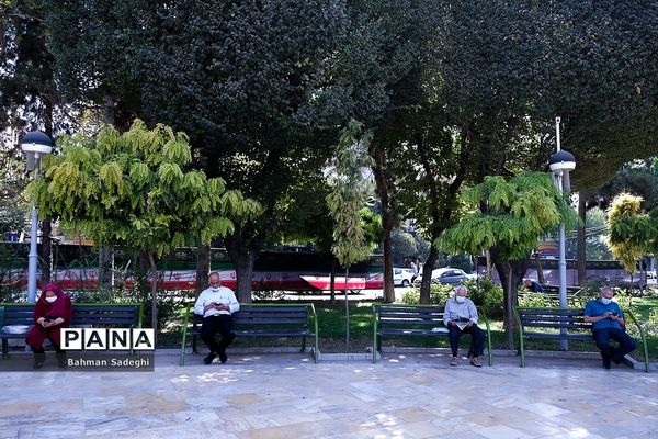 روز جهانی سالمند