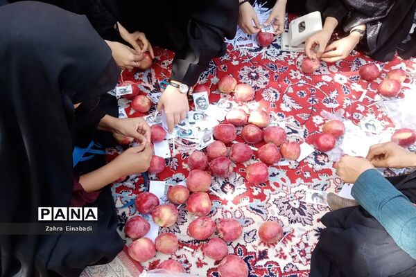 برگزاری نمایشگاه به مناسبت ۲۸ صفر در شهرستان ملارد