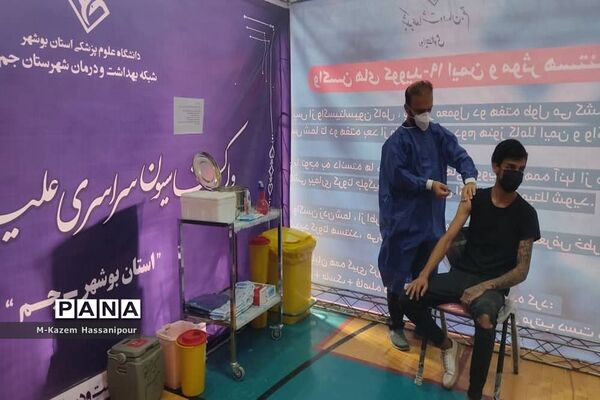 واکسیناسیون سراسری علیه بیماری کووید 19 در شهرستان جم
