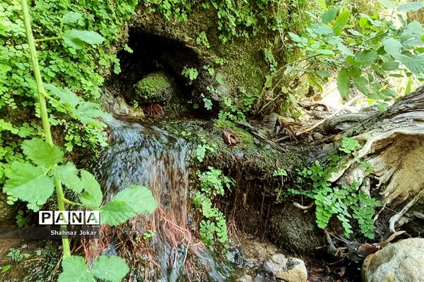 طبیعت زیبای تنگ فراشبندی دشمن زیارى