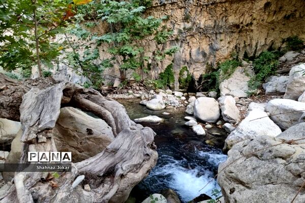 طبیعت زیبای تنگ فراشبندی دشمن زیارى