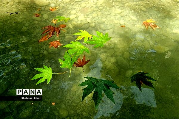 طبیعت زیبای تنگ فراشبندی دشمن زیارى