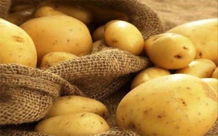 اگر استخوان درد دارید این ماده غذایی را بخورید