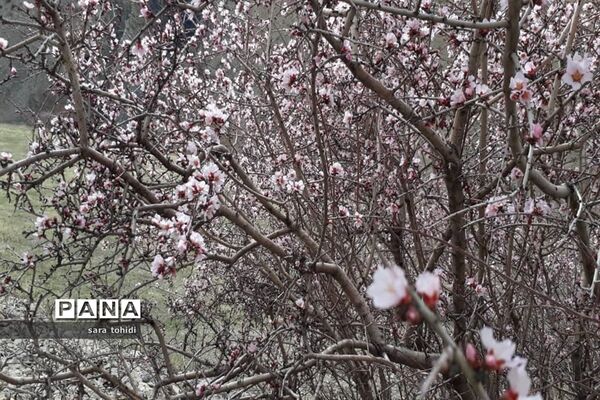 طبیعت زیبای فریدونشهر در استان‌اصفهان