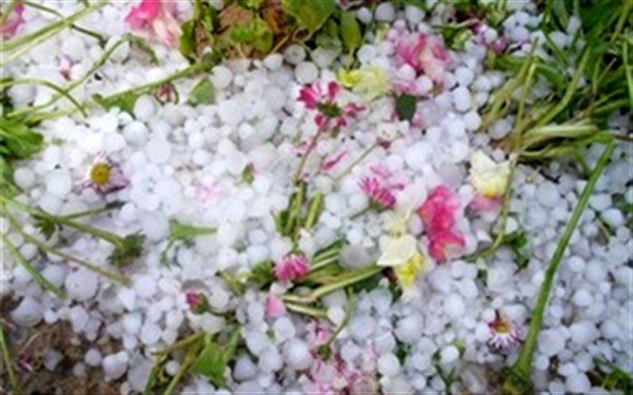 هواشناسی هشدار داد؛ احتمال وقوع تگرگ در ۲۰ استان