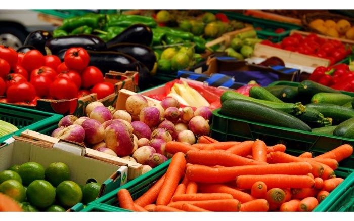 اعلام قیمت‌ مصوب میوه‌های پرمصرف در میدان مرکزی میوه و تره‌بار