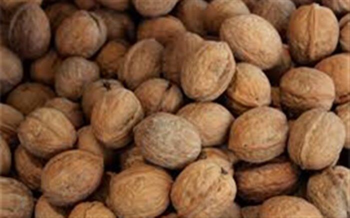 کشف بیش از ۲ هزار کیلو گردوی قاچاق