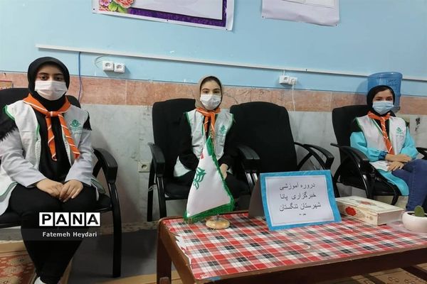 دومین روز دوره آموزشی خبرنگاران دختر پانا شهرستان‌ها و مناطق استان بوشهر