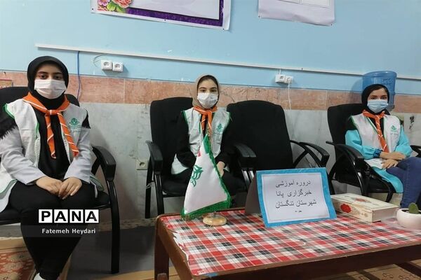دومین روز دوره آموزشی خبرنگاران دختر پانا شهرستان‌ها و مناطق استان بوشهر