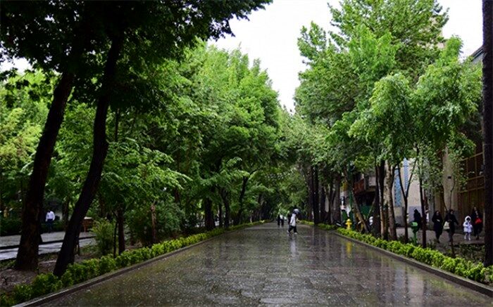 رگبار و رعد و برق در 13 استان؛ دمای سواحل خزر کاهش می‌یابد