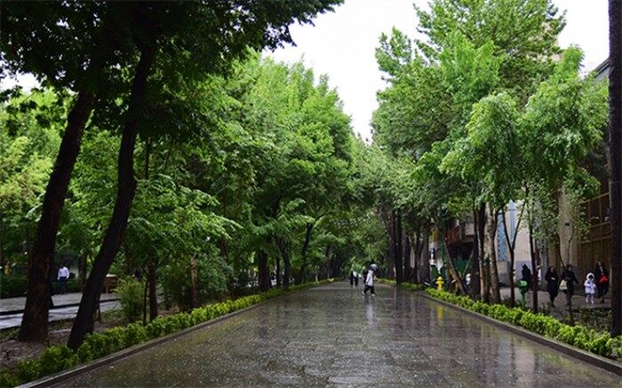 رگبار و رعد و برق در 13 استان؛ دمای سواحل خزر کاهش می‌یابد