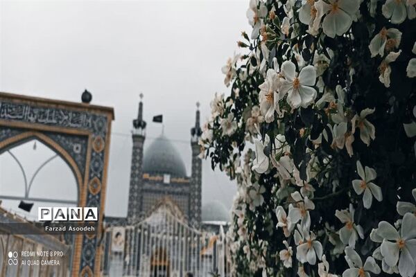 غباروبی مزار شهدای معلم در  کاشمر