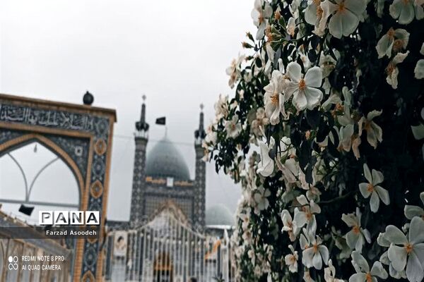 غباروبی مزار شهدای معلم در  کاشمر