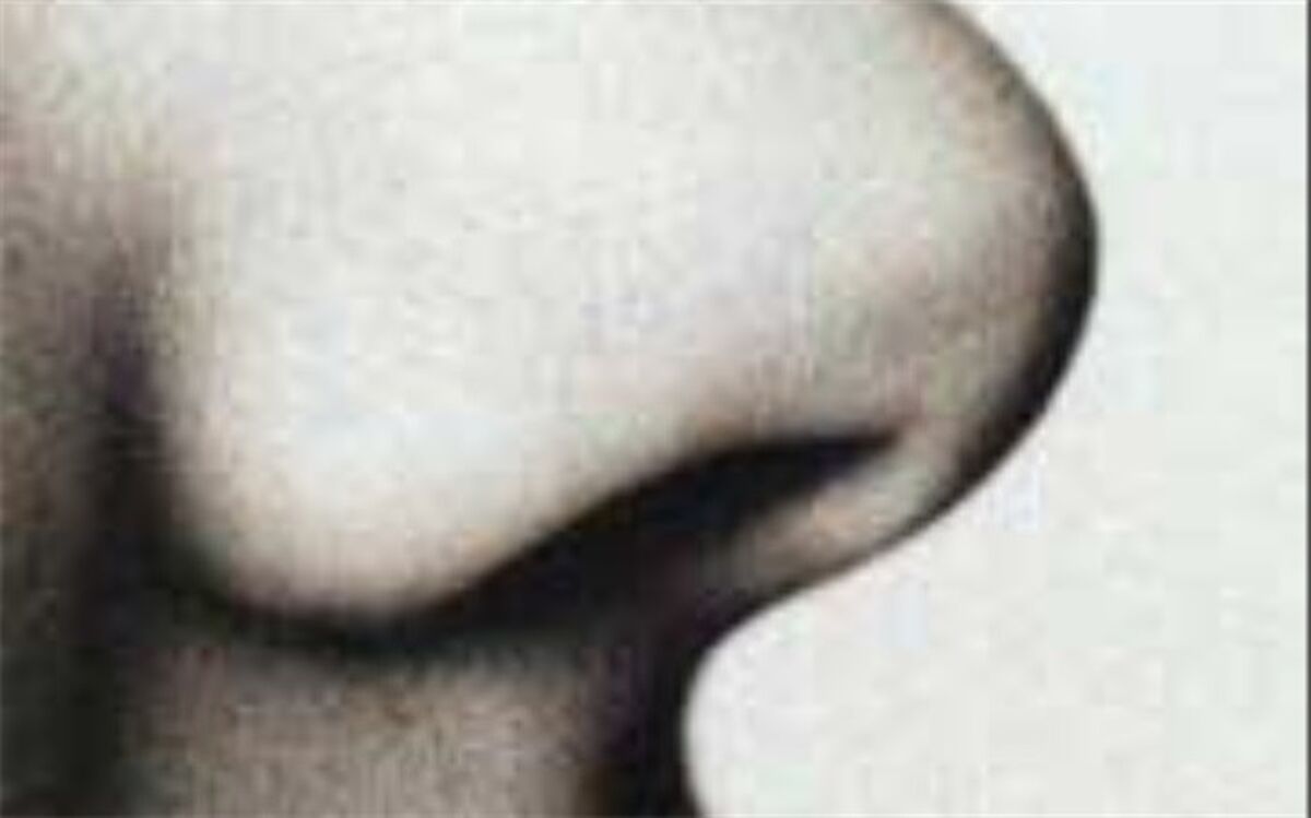 تعیین دقیق زمان مرگ با مژک‌های بینی!