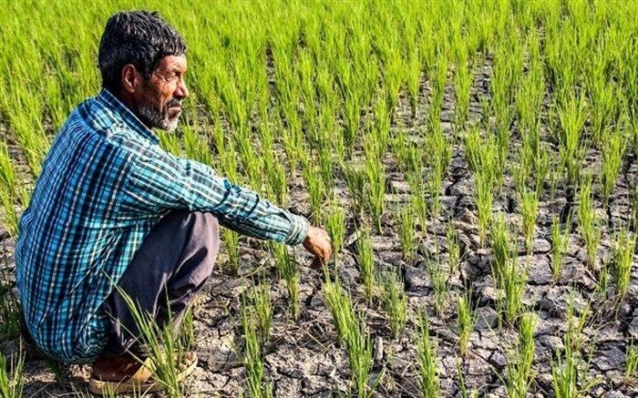 گیلان تحت تاثیر تغییرات اقلیمی است