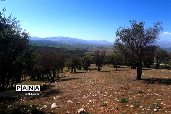 طبیعت زیبای تنگ بوان