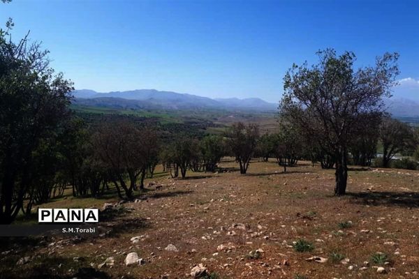 طبیعت زیبای تنگ بوان