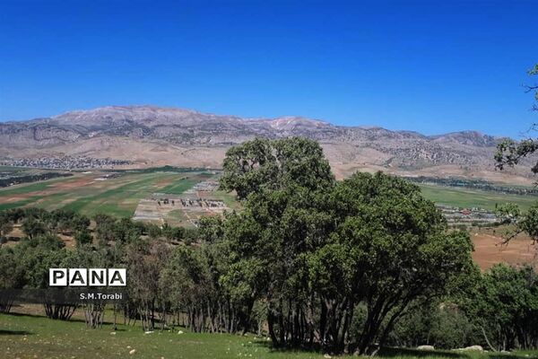 طبیعت زیبای تنگ بوان