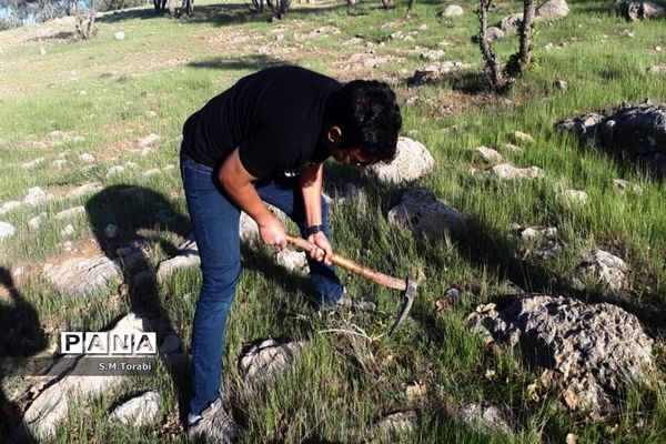 طبیعت زیبای تنگ بوان