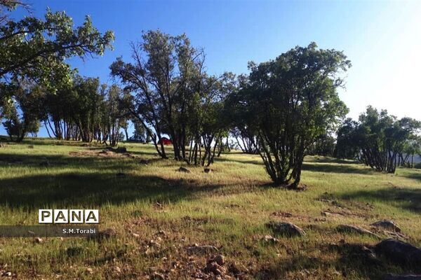 طبیعت زیبای تنگ بوان