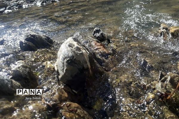 طبیعت بکر فریدو‌ن‌شهراصفهان