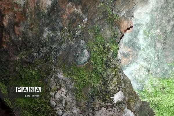 طبیعت بکر فریدو‌ن‌شهراصفهان