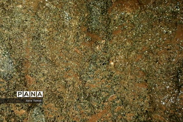 طبیعت بکر فریدو‌ن‌شهراصفهان