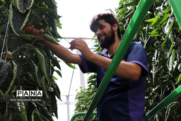 بازدید از مجتمع‌های گلخانه‌ای ارس تارلا امیر و امین تارلا شهرستان جلفا