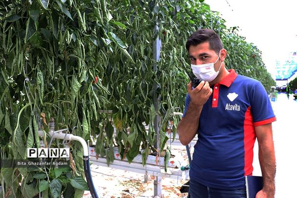 بازدید از مجتمع‌های گلخانه‌ای ارس تارلا امیر و امین تارلا شهرستان جلفا