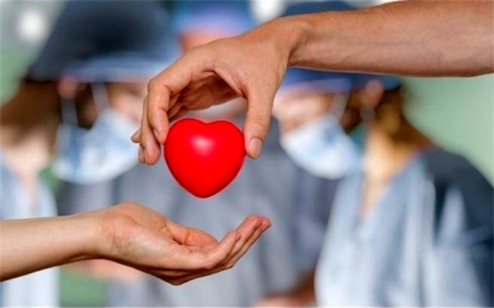 وقتی در اوج درد، باران عشق می بارد