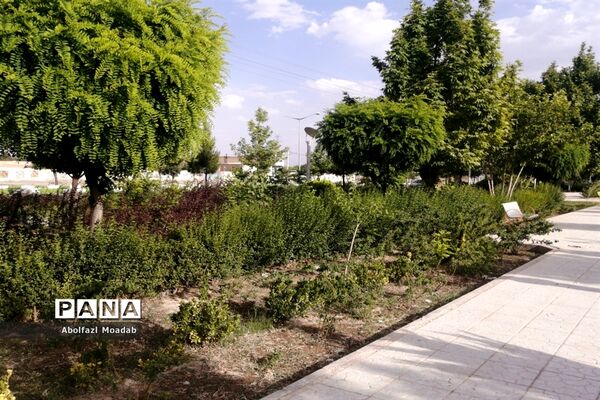 خلوت شدن بلوار سید مرتضی  کاشمر در  اوضاع کرونا