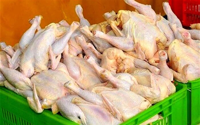 بیش از ۷ هزار تن گوشت مرغ گرم امروز به بازار عرضه شد