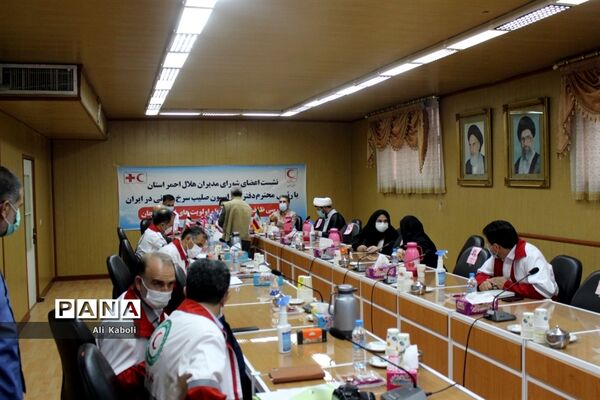نشست اعضای شورای مدیران هلال احمر با رئیس دفتر فدراسیون صلیب سرخ  جهانی  در ایران