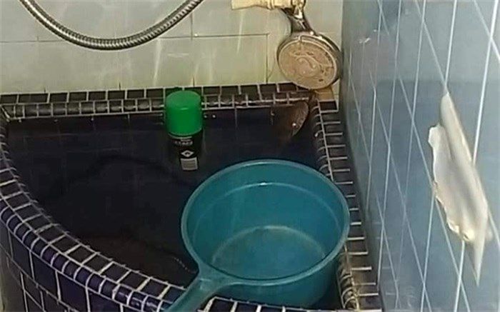 صحنه وحشتناکی که صاحبخانه را شوکه کرد