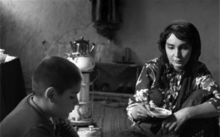 احمد بهرامی: سطح سلیقه مخاطبان ایرانی بالاست