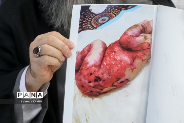 گفت‌وگوی اختصاصی پانا با مدیرعامل خانه «ای بی»