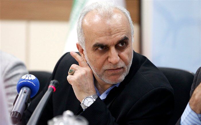 دژپسند: دولت فشاری به بانک مرکزی برای فروش ۲ میلیارد دلار ارز نداشته است