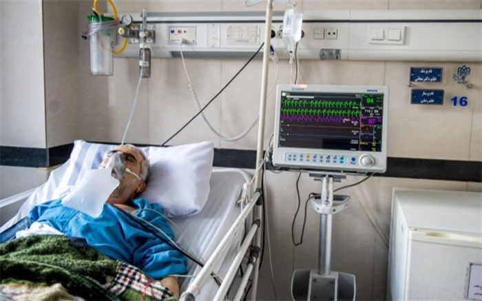 برگ ریزان یک خانواده؛همه چیز از سیزده به در شروع شد