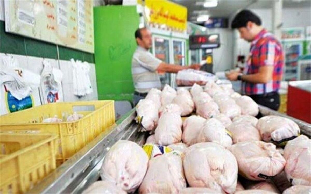 قیمت مرغ ارزان می‌شود؟