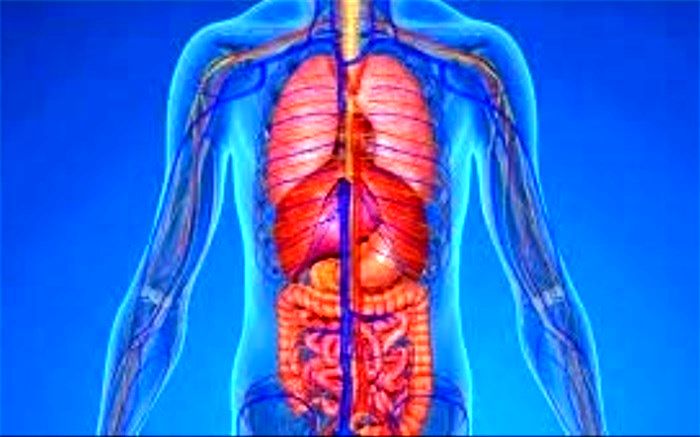 ۱۰ حقیقت جالب درباره بدن